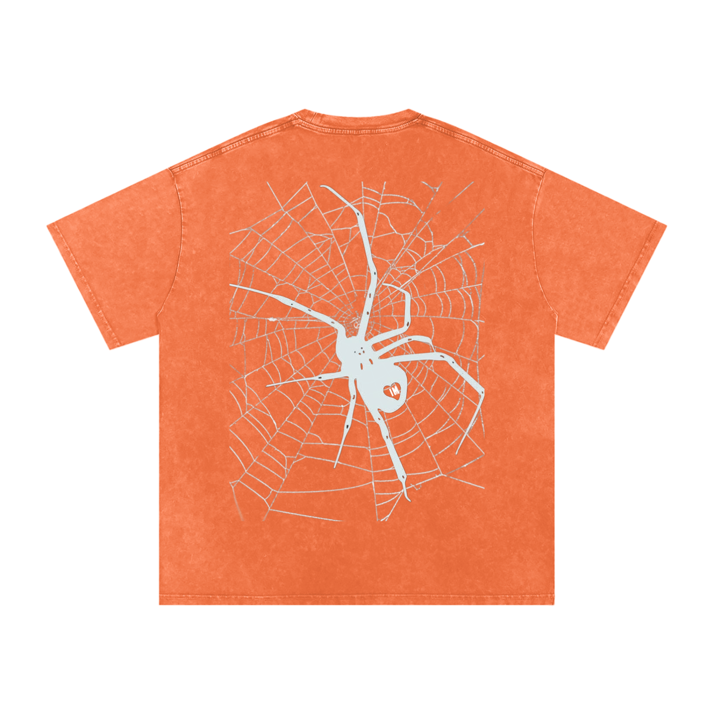 Spider Acid Wash Oversize T-Shirt