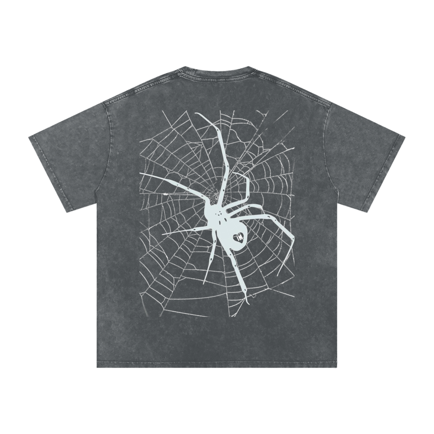 Spider Acid Wash Oversize T-Shirt