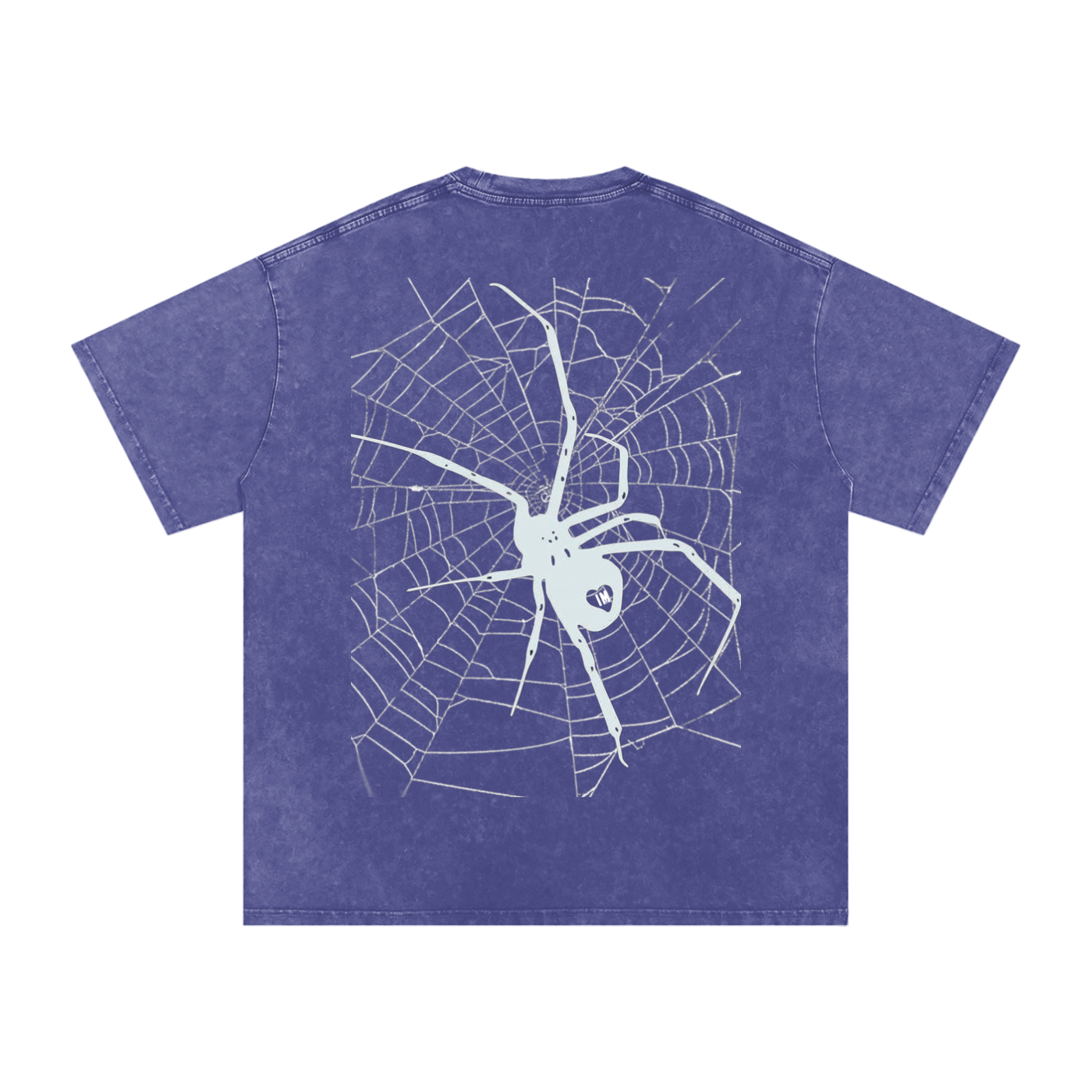 Spider Acid Wash Oversize T-Shirt