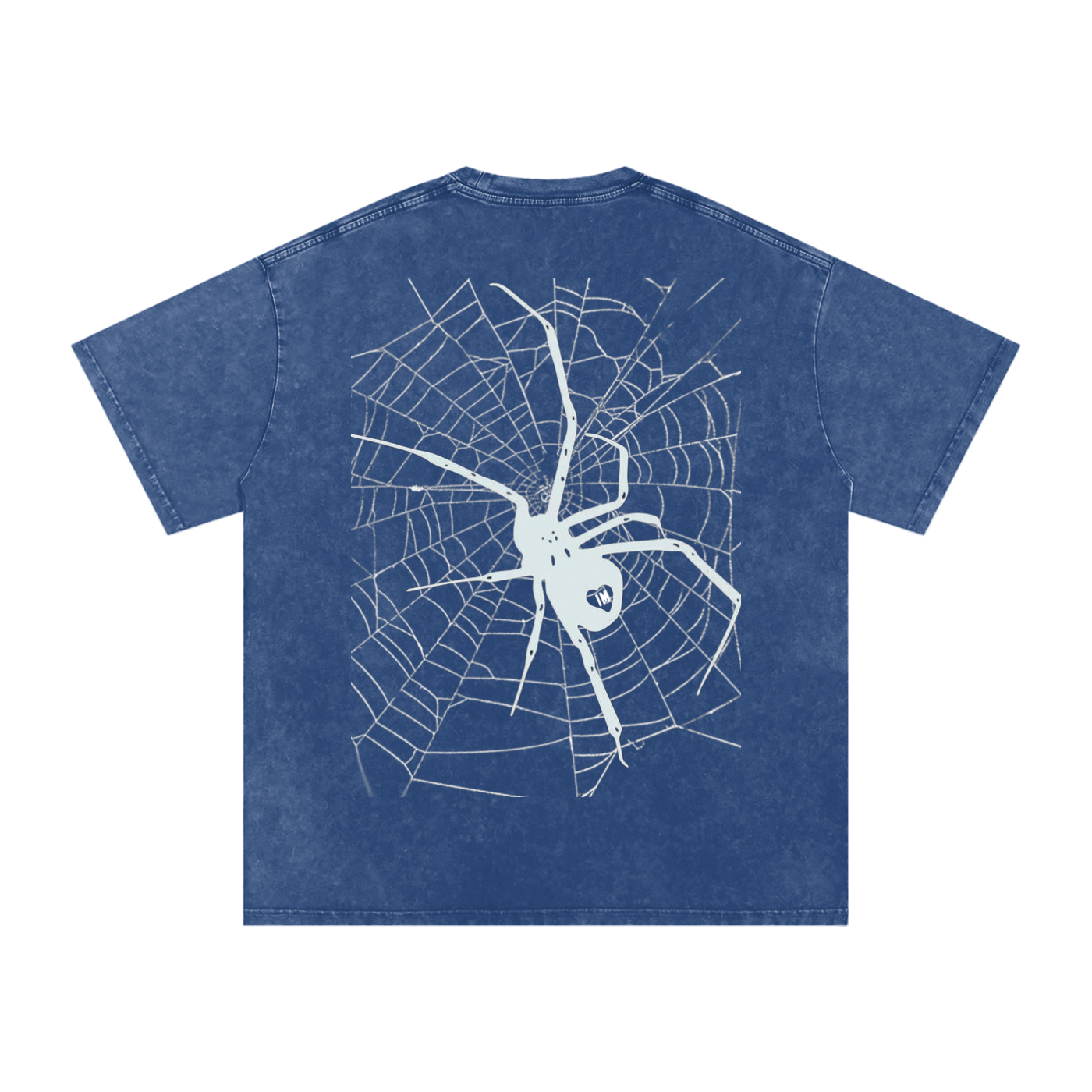 Spider Acid Wash Oversize T-Shirt