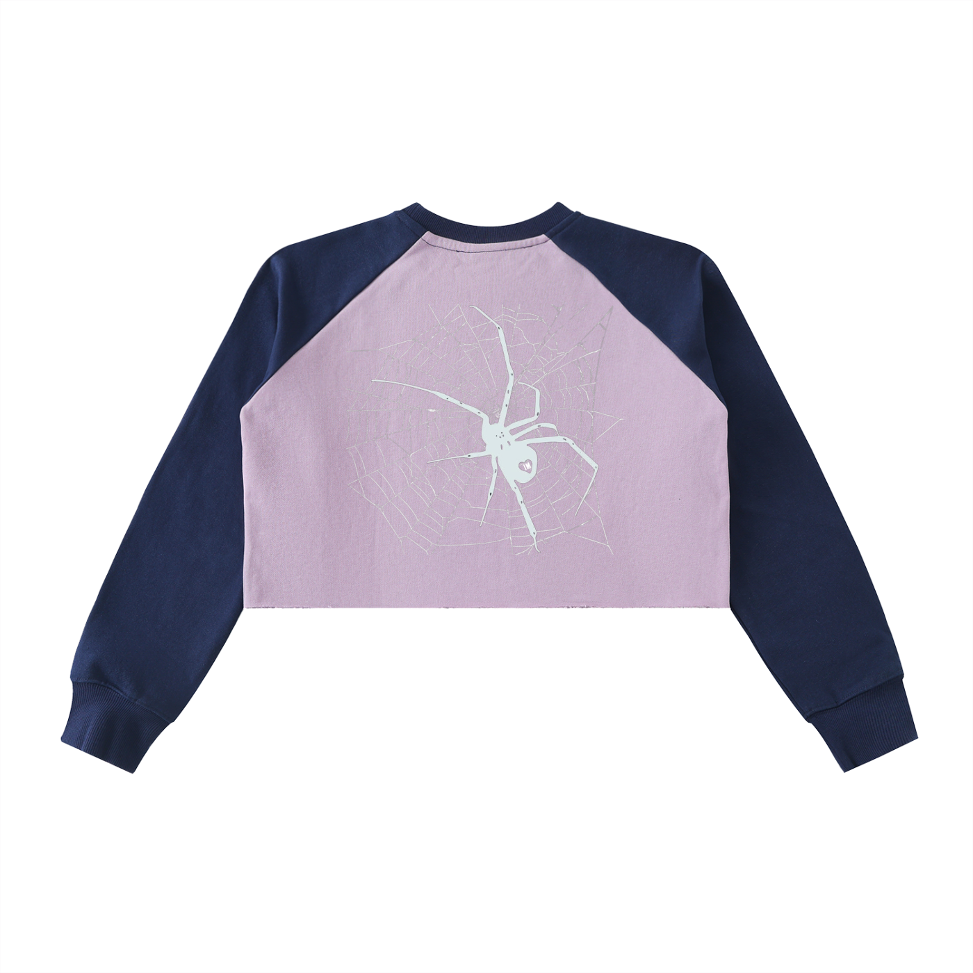 Spider Crop Sweatshirt