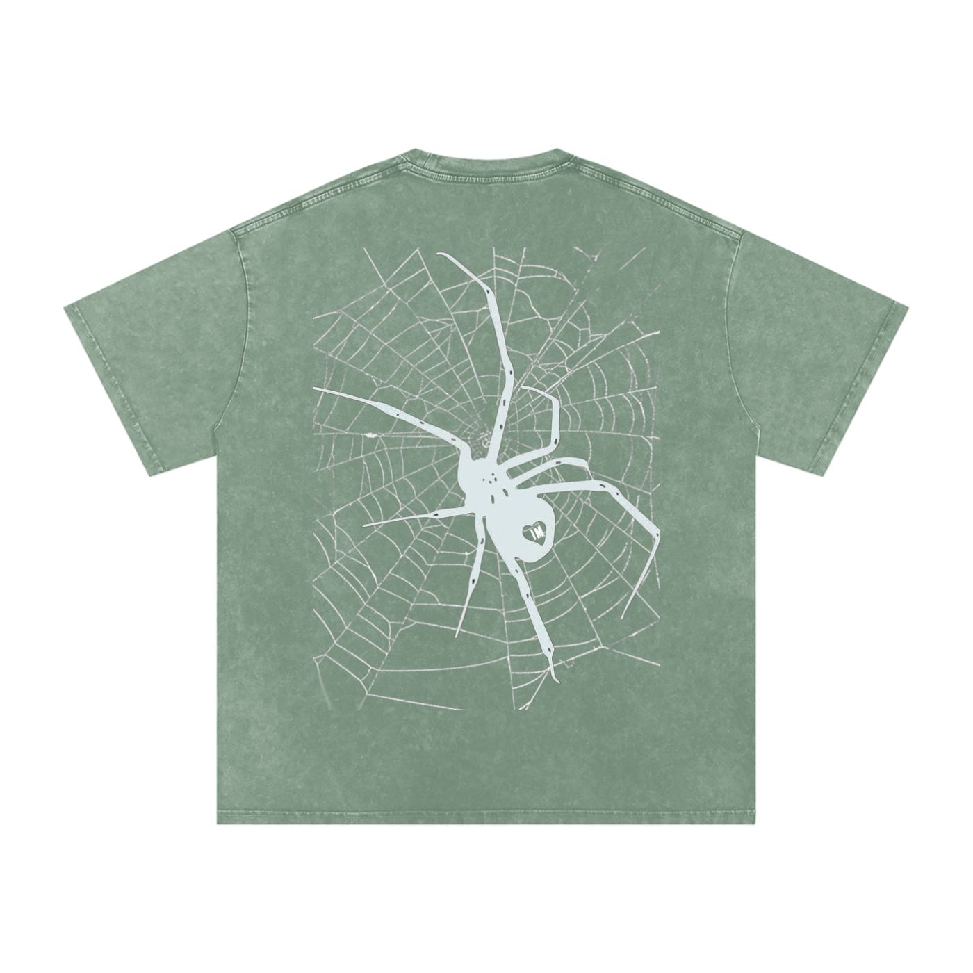 Spider Acid Wash Oversize T-Shirt