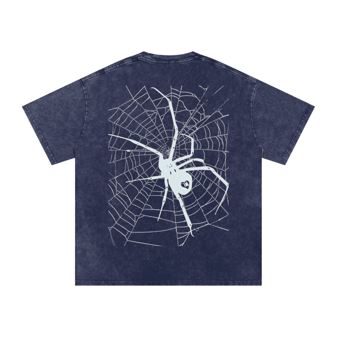 Spider Acid Wash Oversize T-Shirt