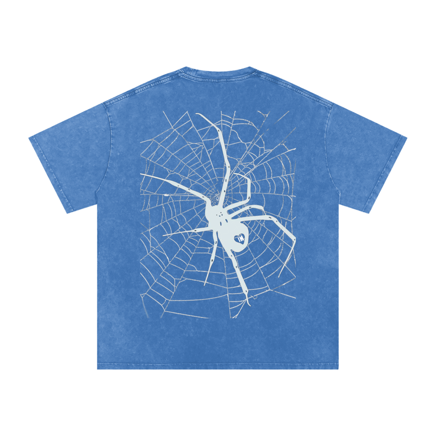 Spider Acid Wash Oversize T-Shirt
