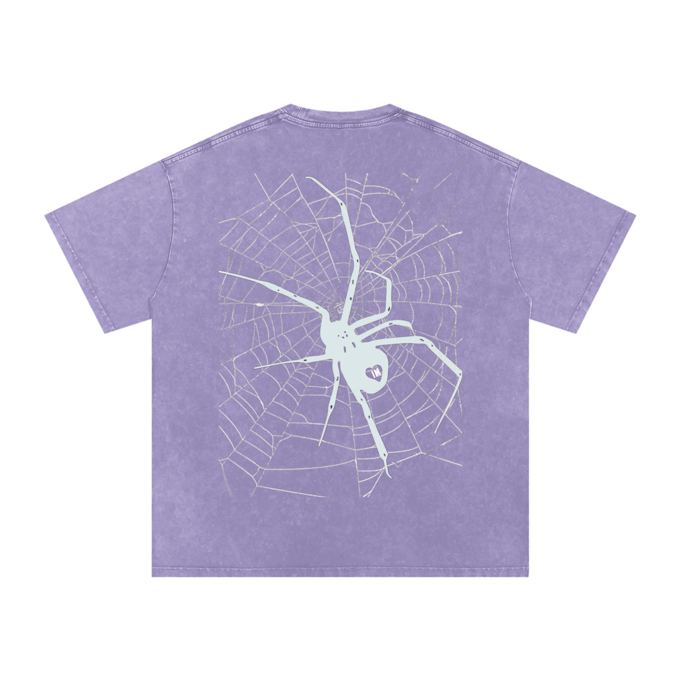 Spider Acid Wash Oversize T-Shirt